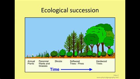 Introductory Lecture The Ecology Of Microbial Communities Youtube