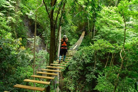 Pacific Rainforest Tranopy Tour Jaco Costa Rica