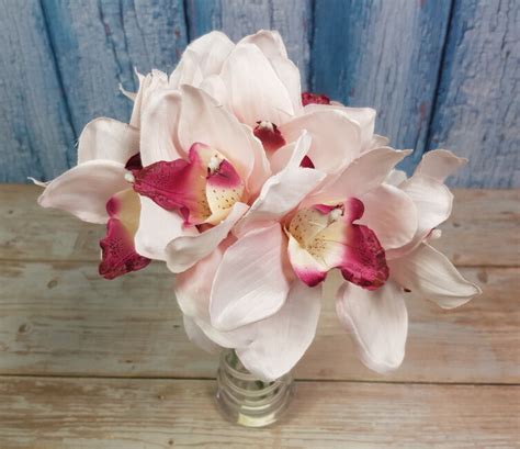 Cymbidium Light Pink Caneacreative Sk