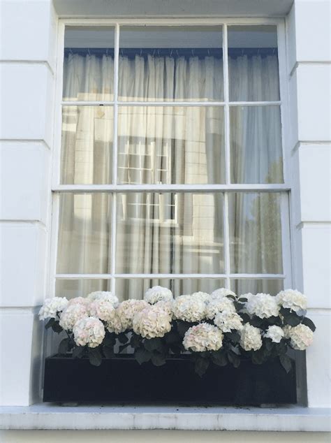 Shop wayfair for all the best modern window boxes. 26 Best Window Box Planter Ideas and Designs for 2021
