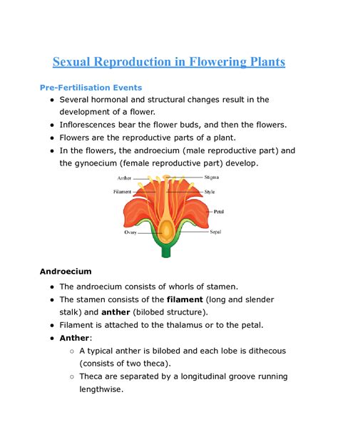 Sexual Reproduction In Flowering Plants Class Notes Biology My Xxx