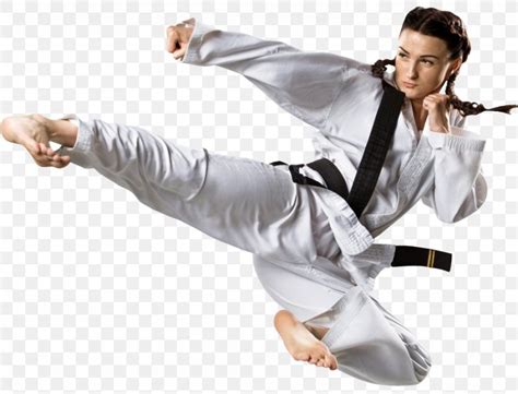 Martial Arts Taekwondo Karate Judo Kick Png X Px Martial Arts Black Belt Blocking