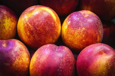 Download Nectarines Royalty Free Stock Photo And Image