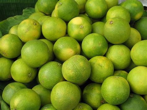 Miraculous Fruit Sweet Lime Agrihunt A Hunt For Agricultural Knowledge