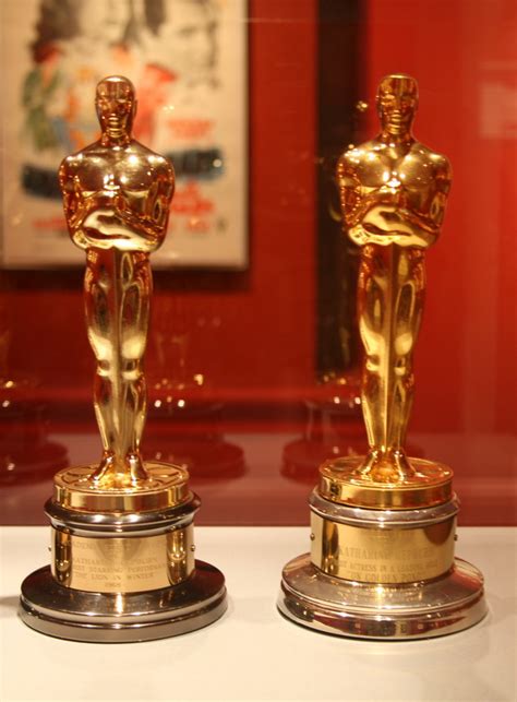 The awards are granted by the academy of motion picture arts and sciences, a professional honorary organization which, as of 2003, had a voting membership of 5,816. Best Actress Academy Award | Best Actress Academy Award ...