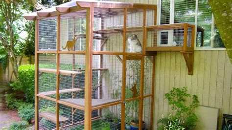 How To Build A Catio Buy Or Make An Outdoor Cat Enclosure