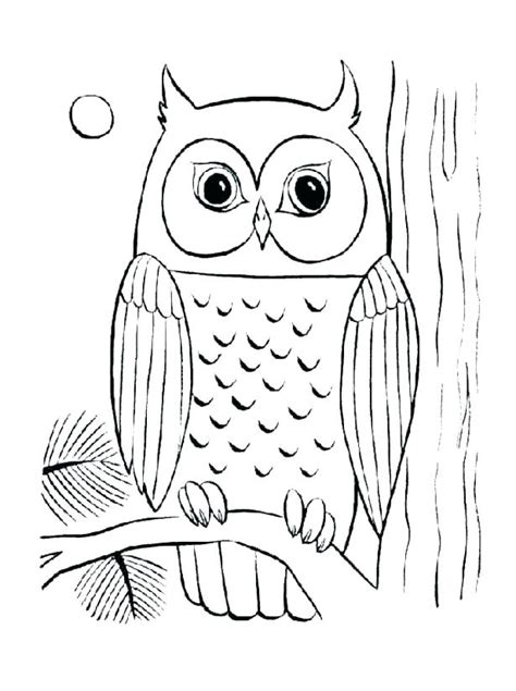 Cute Baby Owl Coloring Pages At Free Printable