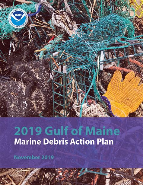 Marine Debris Program Releases The Gulf Of Maine Marine Debris Action