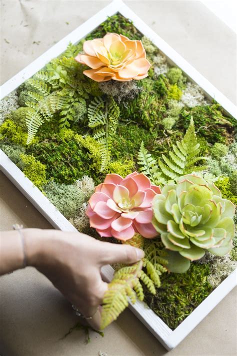 There are a lot of ways that i could have done. How to Make a Carefree Moss Garden - Dalla Vita in 2020 ...