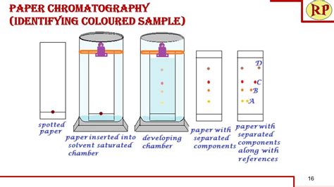 Paper Chromatography Diagram