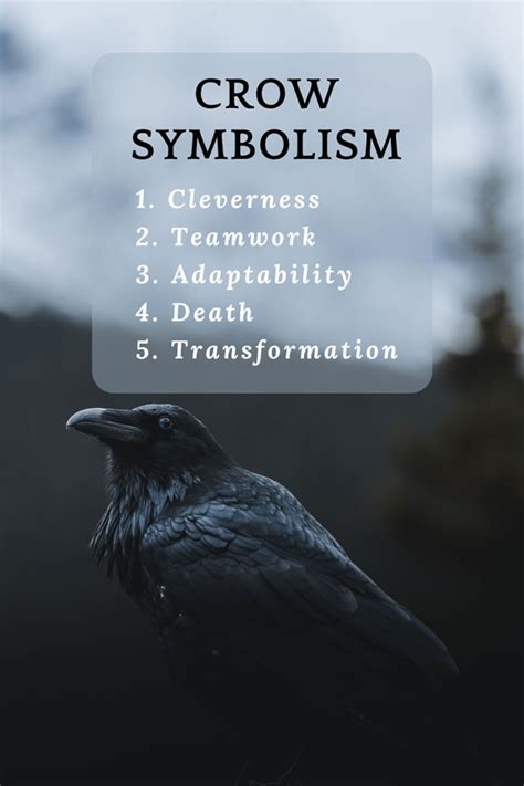 Crow Symbolism And Meaning What Is Crow Spirit Animal
