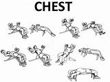 Photos of Dumbbell Chest Exercises