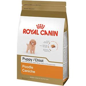 Our 5 month old long haired shaded cream pup can't get of enough of royal canin's dachshund. Amazon.com: ROYAL CANIN BREED HEALTH NUTRITION Poodle Puppy dry dog food, 2.5-Pound: Pet Supplies