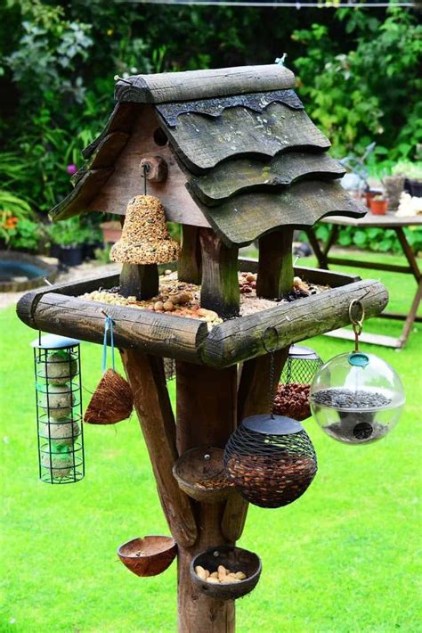 Decorate Your Backyard With Bird Feeders Bird Feeders Bird Feeding