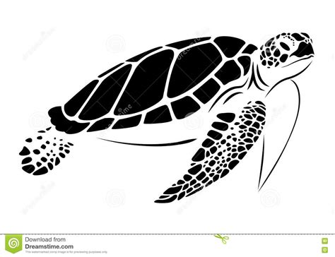 Graphic Sea Turtle Vector Stock Vector Illustration Of Water
