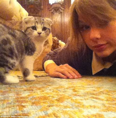 Taylor Swift Shares Video Of Her New Kitten Sleeping While On A Plane