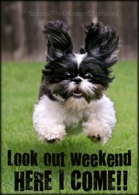 Yay Monday  ~ Lookout Weekend Pictures Photos And Images For