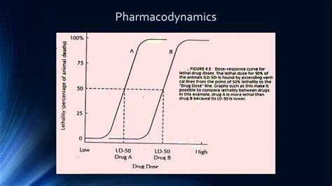 Example sentences with the word efficacy. Lecture 8 Pharmacodynamics Drug Dosing Safety and Efficacy ...