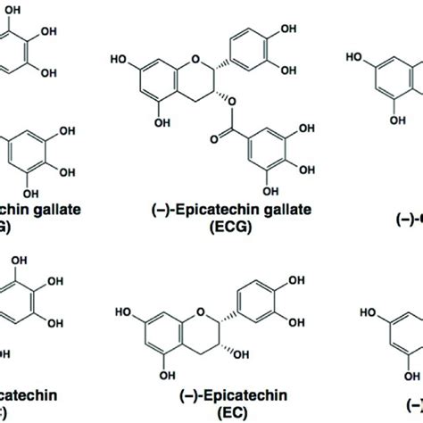 Chemical Structures Of Epigallocatechin Gallate Egcg And Related