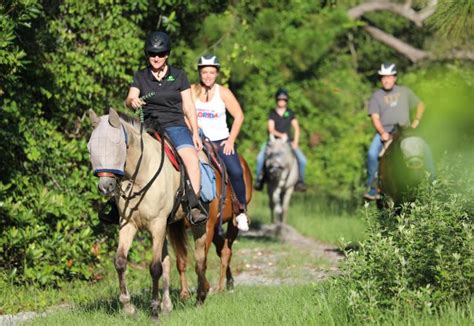Dogs are allowed at lake louisa state park campground, but they must be kept on a leash no longer than 6 feet when outside your vehicle. Lake Louisa State Park | Florida State Parks
