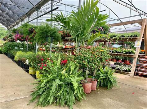 We did not find results for: Simply Mulch & More - Bowling Green, KY