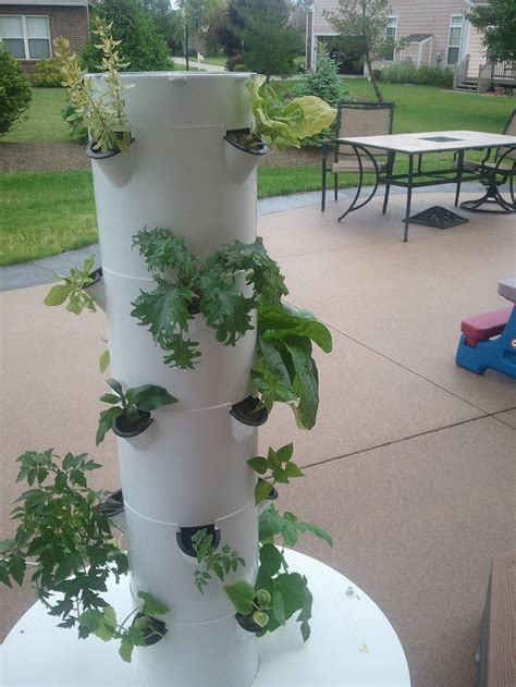 How To Make A Hydroponic Tower What Is The Best Vertical Hydroponic