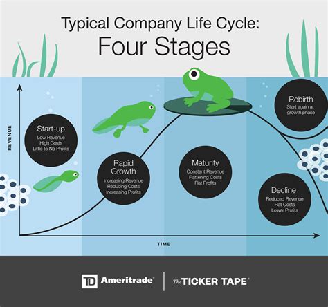 Stages Of Business Life Cycle