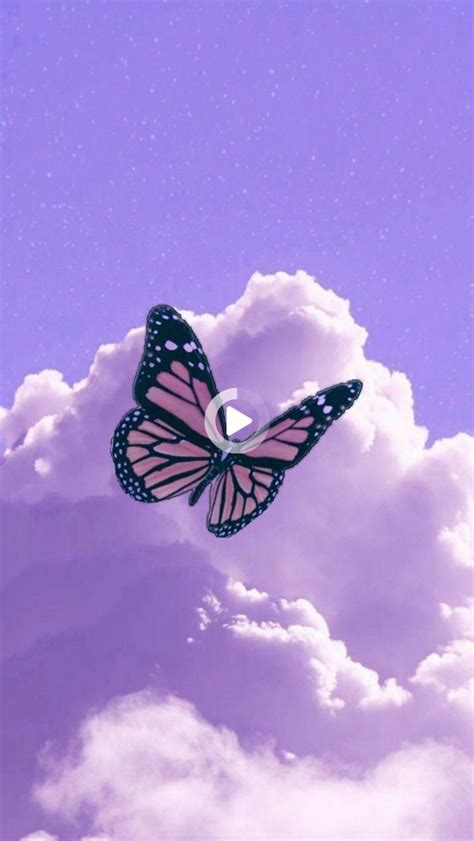 Purple Butterfly Wallpaper In 2020 Purple Butterfly