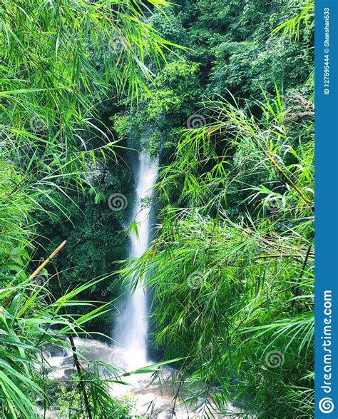 Small Waterfall Flowing From Mount Emei Stock Photo Image Of Green