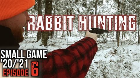 2021 Rabbit Hunt Snowshoe Hare Hunting In Maine Youtube