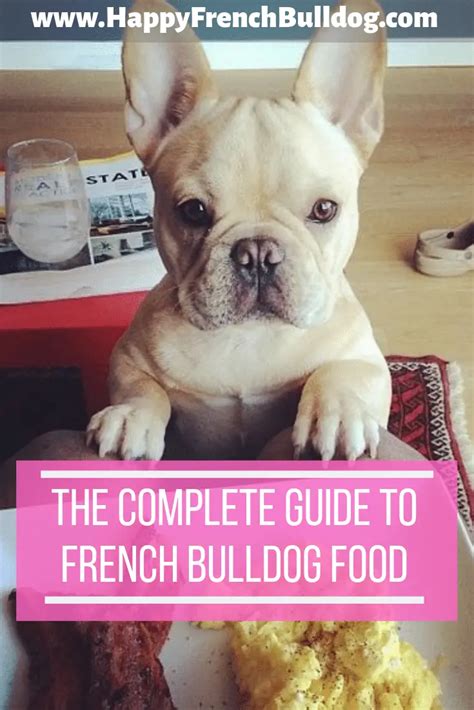 The Complete Guide To French Bulldog Food Happy French Bulldog