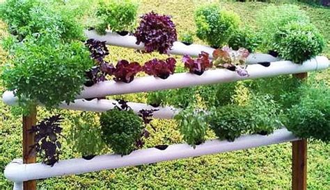 (diy tutorial via urban green space) 03. 8 DIY PVC Gardening Ideas and Projects