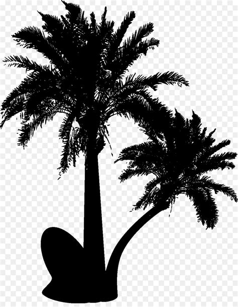Coconut Drawing Arecaceae Tree Silhouette Palm Tree Png Download