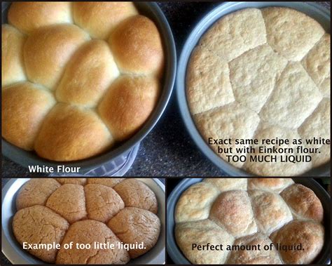 It won't work for bread, because it doesn't have enough gluten. Tips For Baking With Einkorn Flour » Einkorn.com