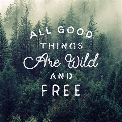 Do you have a free spirit and a happy heart? All Good Things Are Wild And Free Lettering by James Lafuente Follow on Instagram | Cool words ...