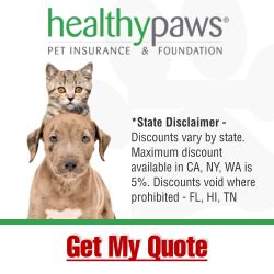 Pet insurance can be an affordable way to lower your pet's medical bills. Affordable Pet Insurance | Healthy Paws | Manhattan, NY