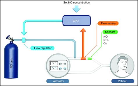 Inhaled Nitric Oxide Delivery Systems For Mechanically Ventilated And