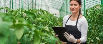 ¡a todos los médicos veterinarios y los ingenieros agrónomos, muy feliz día! Imágenes de feliz día del ingeniero agrónomo para dedicar