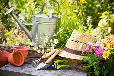 It's that exciting time of year again, the ground is beginning to warm and the trees are beginning to bud. Spring gardening tips - The English Garden