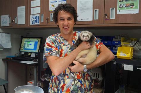 Ferret Vet Clinic In Perth And Melbourne The Unusual Pet Vets