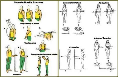Shoulder Exercises For Bursitis Mobile Physiotherapy Clinic