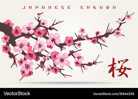 Japan Cherry Blossom Tree Branch Royalty Free Vector Image