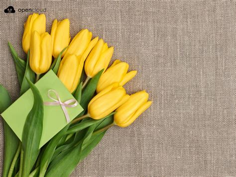 Tudung atau shawl juga sangat sesuai untuk dijadikan sebagai hadiah buat ibu. 7 Hadiah untuk Hari Ibu yang Unik - Opencloud - Blog