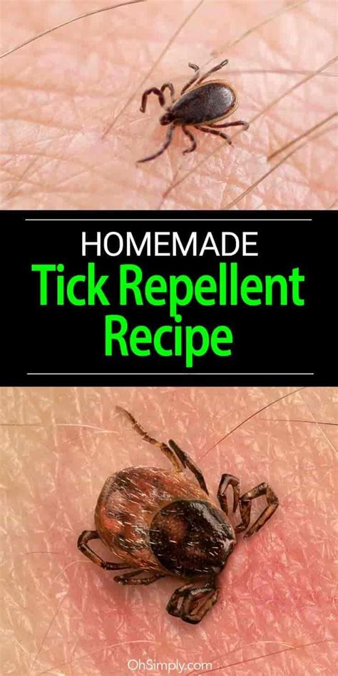 In addition, citrus based fruit peels such as orange and lemon will also help; How To Make A Homemade Tick Repellent Recipe | Tick ...