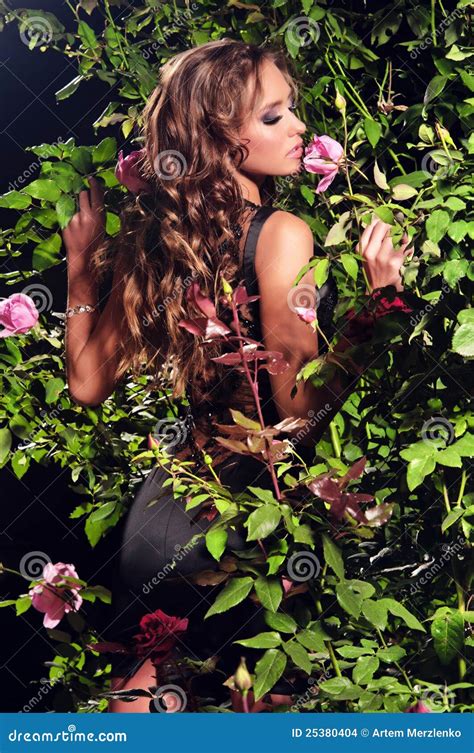 Woman Standing Among The Rose Bushes Stock Photo Image Of Flower