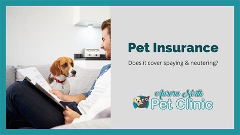It may be that in addition to vet bills, other matters are covered. Does Pet Insurance Cover Spaying & Neutering? - Aurora ...