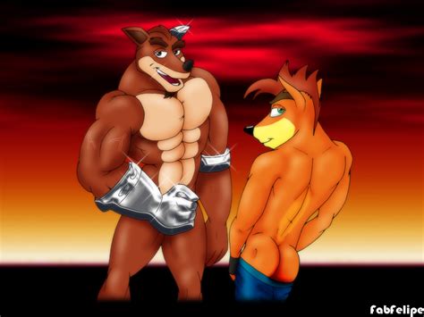 Rule 34 Crash Bandicoot Crunch Bandicoot Fabfelipe Furry Male Male