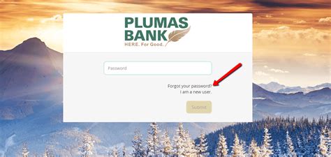 (if you've forgotten the email address, click forgot your email? Plumas Bank Online Banking Login - Rolfe State Bank