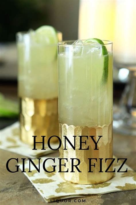 Classics You Should Know The Gin Fizz Recipe Ginger Fizz