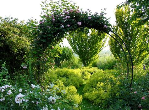 Natürlichkeit und originalität sind eigenschaften, denen wir uns verschrieben haben. Rosenbogen im Garten: Hilfreiche Tipps zu Auswahl, Aufbau ...